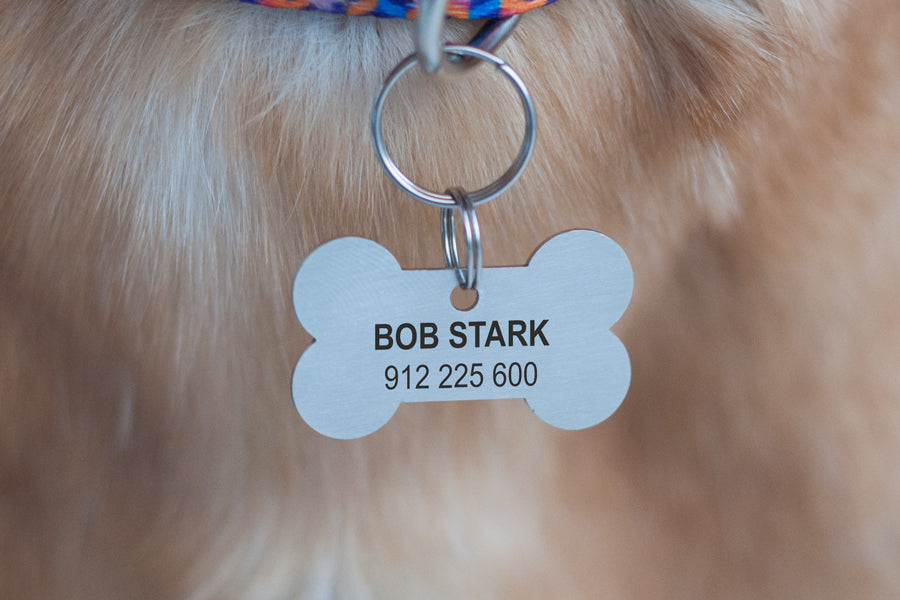 Stark dog outlet tag