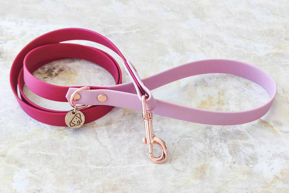 Personalized vegan leather dog leash combines several colors My Golden Pet